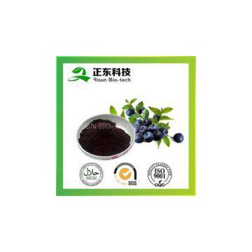 Bilberry Extract---High Concertration of Anthocyanins