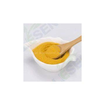 Mango Powder