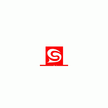 Sandong Machinery Co., Ltd.