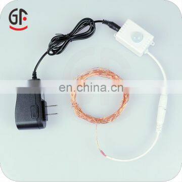 Factory China Intelligent PIR Sensor DC Powered Christmas Led String Lights photo-6