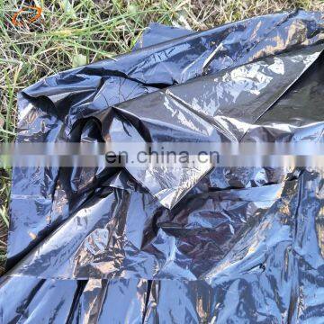 LDPE Silver and Black Mulch Film For Agriculture Usage photo-2