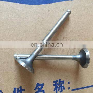 Genuine T3142L072 T3142A051 Lovol Engine Intake Valve Foton Lovol Generator photo-6