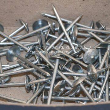 hot sale roofing nails large head