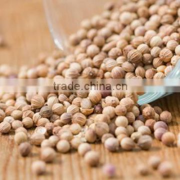 Highest Quality Organic Coriander Seeds Export