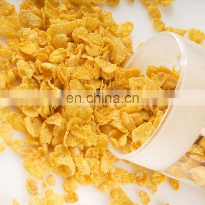 Factory Advanced Cornflakes Breakfast Cereal Processing Line/Corn Flakes Machine/Breakfast Cereal Production Plant photo-4