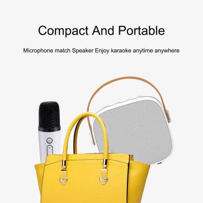 Portable OEM Factory Mini Bluetooth Speaker With Microphone Wireless Dual Audio For Home Party Karaoke Singing photo-3