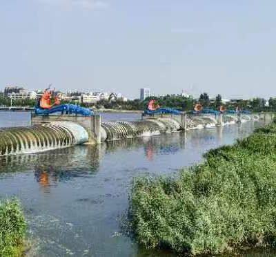 Fabricant direct - Digue en caoutchouc gonflable de qualité industrielle pour l'irrigation des cultures et l'approvisionnement en eau du bétail - Strength Factory photo-3