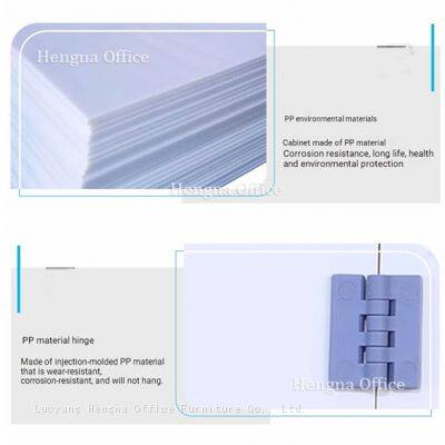 Industrial PP Chemical Storage Cabinet | Heavy-Duty, Double-Lock Safety | for Factory Corrosive Liquids photo-5