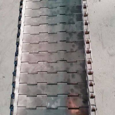 Customized Source Factory Wholesale Price for Heavy-duty Plate Chain Conveyor Belt photo-4