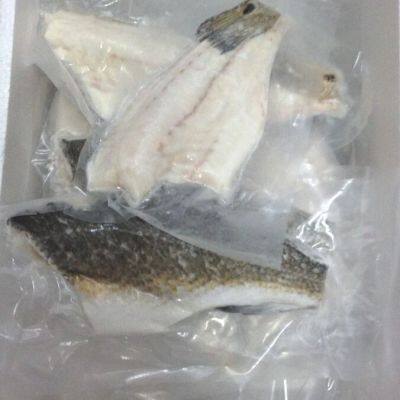 Red Drum Fillet photo-3