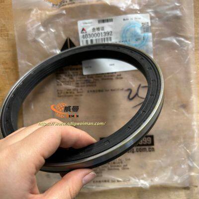 ORIGINAL SDLG SEALING RING 4030001392 APPLY FOR SDLG MOTOR GRADER G9200 G9220 photo-4