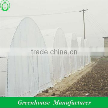 Anti-wind single plastic greenhouse