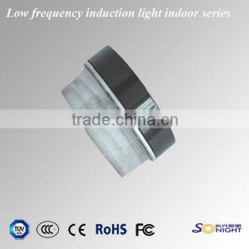 mini aluminun PC 80w induction indoor lamps