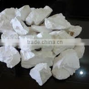 BEST QUALITY AND PRICE QUICK LIME