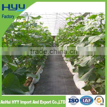 pp UV treated plastic ground cover fabric cloth cloth fabric