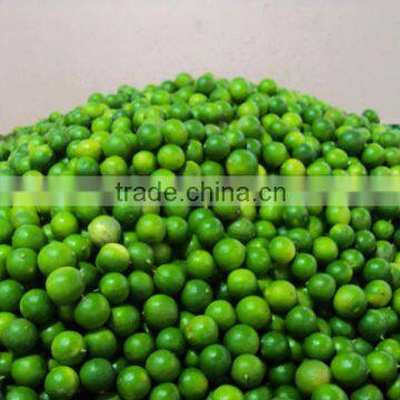 Fresh Lemon & Lime New Crop photo-2
