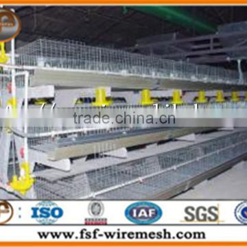 Anping factory A type Chicken Cage for live poultry farming