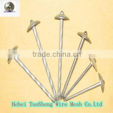 hot sale factory supply high quality low carbon construction cap concrete nails