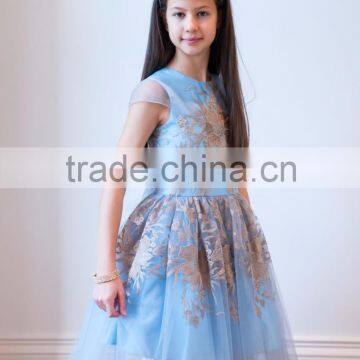 PASTEL BLUE AND BRONZE PRINCESS GOWN