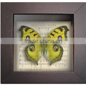 Shabby Chi Glass Printing Wooden Framed With Butterfly