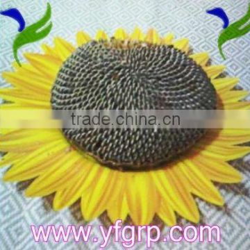 Chinese Sunflower Seeds from the biggest manufacturer hot sale