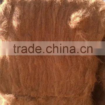 Coconut Fiber QQ: 2598494113