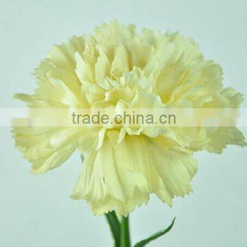 high quality real touch flower manufacture artificial carnation flower