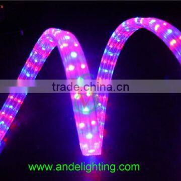 LED Rainbow Rope Light Flat Three Wire Rope Lighting for Outdoor Decoration photo-6