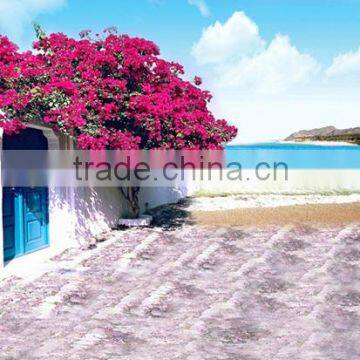 Digital Scenery Background For Photograph Studio