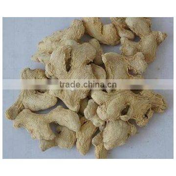 Dried Ginger whole Factory low Price