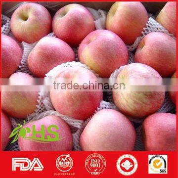 Fresh Fruit of Fresh Apples in Hot Selling