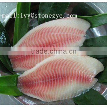 China original frozen tilapia fillets farming