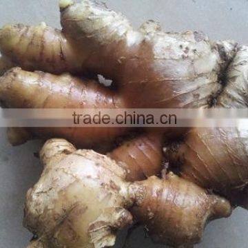 Fresh Ginger- 150g, 200g photo-2