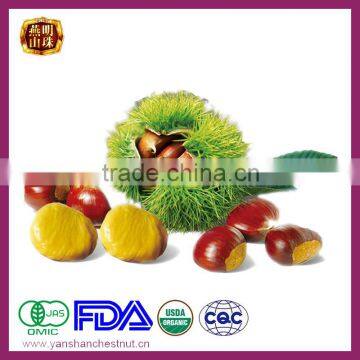 2016 New Crop Organic Harvesting Chinese Fresh Chestnuts