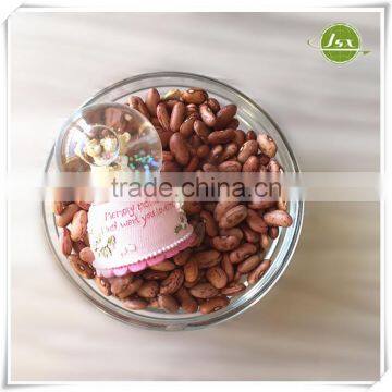 JSX New Arrival Light Speckled Kidney Beans Market Price photo-5