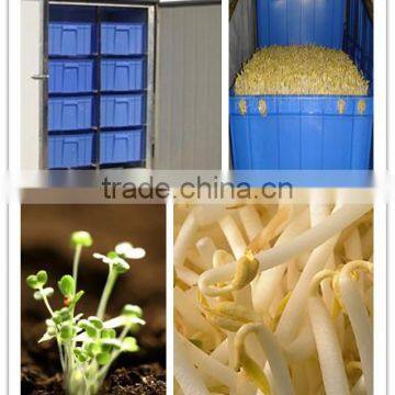 Hot sale bean sprouts making machine(factory) 0086-13838265130