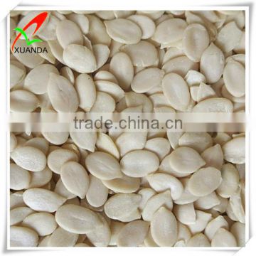 Good quality Watermelon seed Kernels