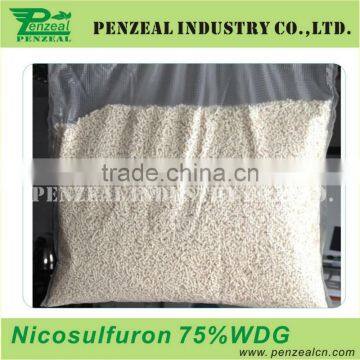 Nicosulfuron 4%OF 75%WDG 95% TC, Herbicide 111991-09-4 photo-2