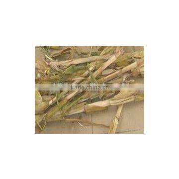 High Quality Straw Crusher Machine/wheat Straw Crusher photo-3