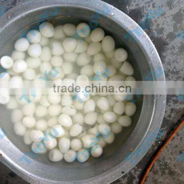 Automatic cooled guail eggs skin removing machine