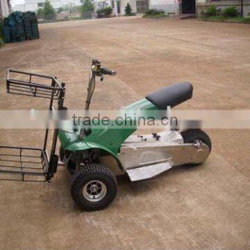 electric golf cart(SX-E0906-5A)