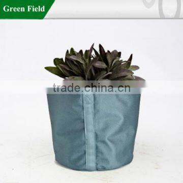 Urban garden flower pots for sale,plants and flower pots for sale