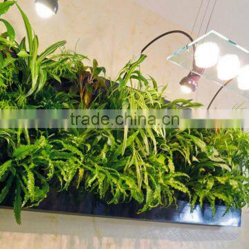 2016 Compound Wall Design,outdoor Green Plants,future Design Fake Plants Wall photo-2