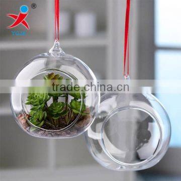 handmade hanging borosilicate round glass ball vase terrariums