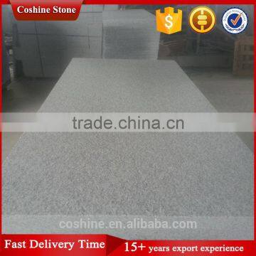 Ice Cristall Gamma Bianco New G603 Granite Flamed Finished 50mm Thick Plate photo-3