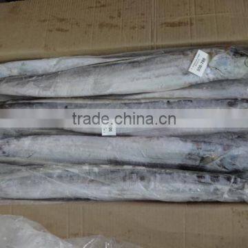 IQF Ribbon Fish photo-3