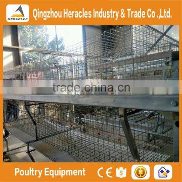Trade Assurance Factory Price H Type Chicken Layer Cage for Broiler photo-4
