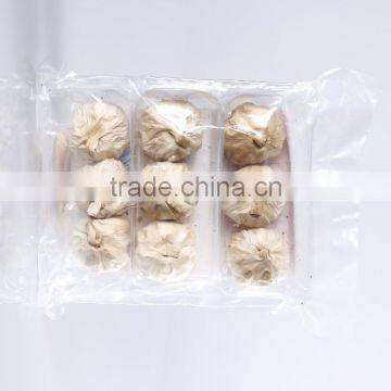 Superior Quality Good Price China Black Garlic photo-3
