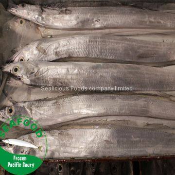 Frozen Ribbon Fish for Gift or Sale Market (new) photo-2