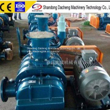 DSR50V Roots Vacuum pump for  Biogas Suction and Discharge